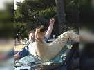 nluc3igf-2927.png