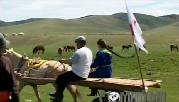 partnervermittlung vietnam airline