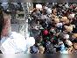nuutsiin mah-5583.jpg