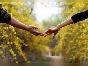 romanticlandscapestouchhandlovecouplehands-d3a18c8092ac1fffd1c6020db63a20a3_h-5584.jpg