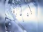 winter-day-520x520-5641.jpg